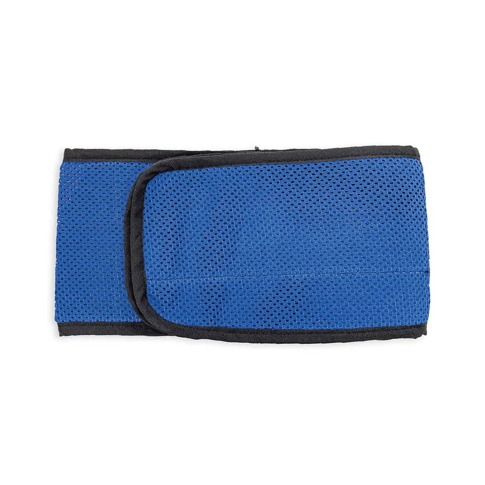 Stabilisierungsgurt (Delfi)